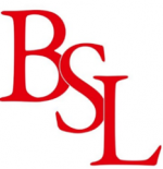 BSL Surveryors
